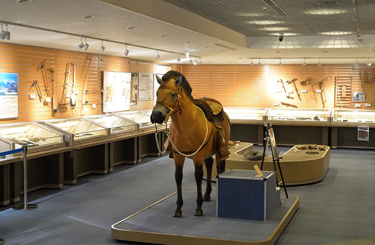 特別展示室での企画展の展示風景